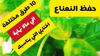 حفظ النعناع ب 10 طرق  مختلقة ستبهركي