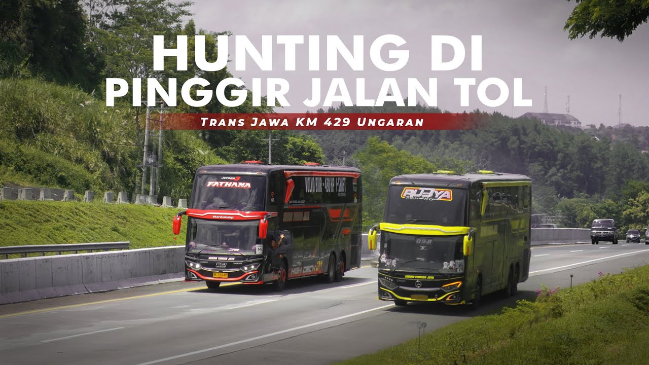 HUNTING BIS ANGKATAN PAGI! - Rameee Banget | Tol Trans Jawa KM 429 Ungaran