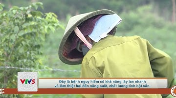 [TIẾNG GIA RAI] ĐẨY MẠNH MỤC TIÊU GIẢM NGHÈO BỀN VỮNG | VTV5