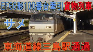 【サメ】EF66形100番台牽引貨物列車 東海道線三島駅3番線を通過