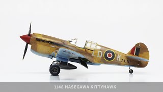 1/48 Hasegawa Kittyhawk /P-40 - My FIRST commission build!