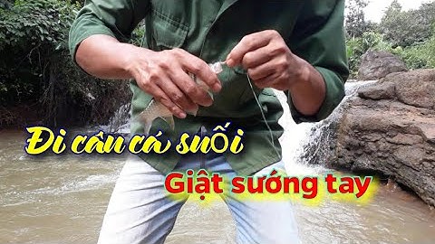 Tuấn Tây Nguyên- Đi câu cá suối nhiều cá giật sướng tay