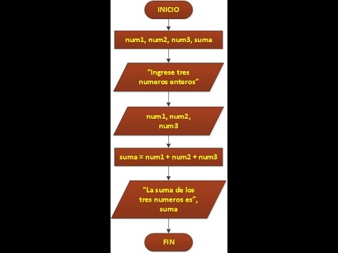Diagramas de Flujo y Codificación en C++ - YouTube