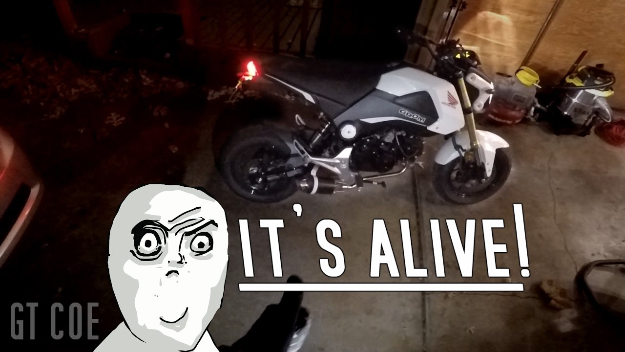 aodonly grom exhaust