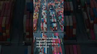 New Zealand And Vietnam Trade