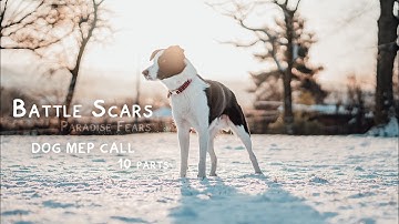 Battle Scars | CLOSED MEP | 2/10 Done