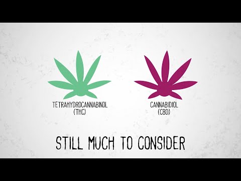 CBD or THC? Cannabis Road