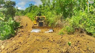 Amazing! D6R XL Bulldozer Widening Forest Road for Plantation Road