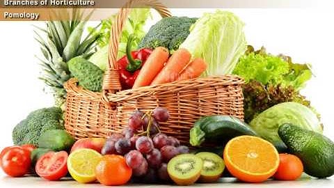 Introduction to Horticulture [Year-1]