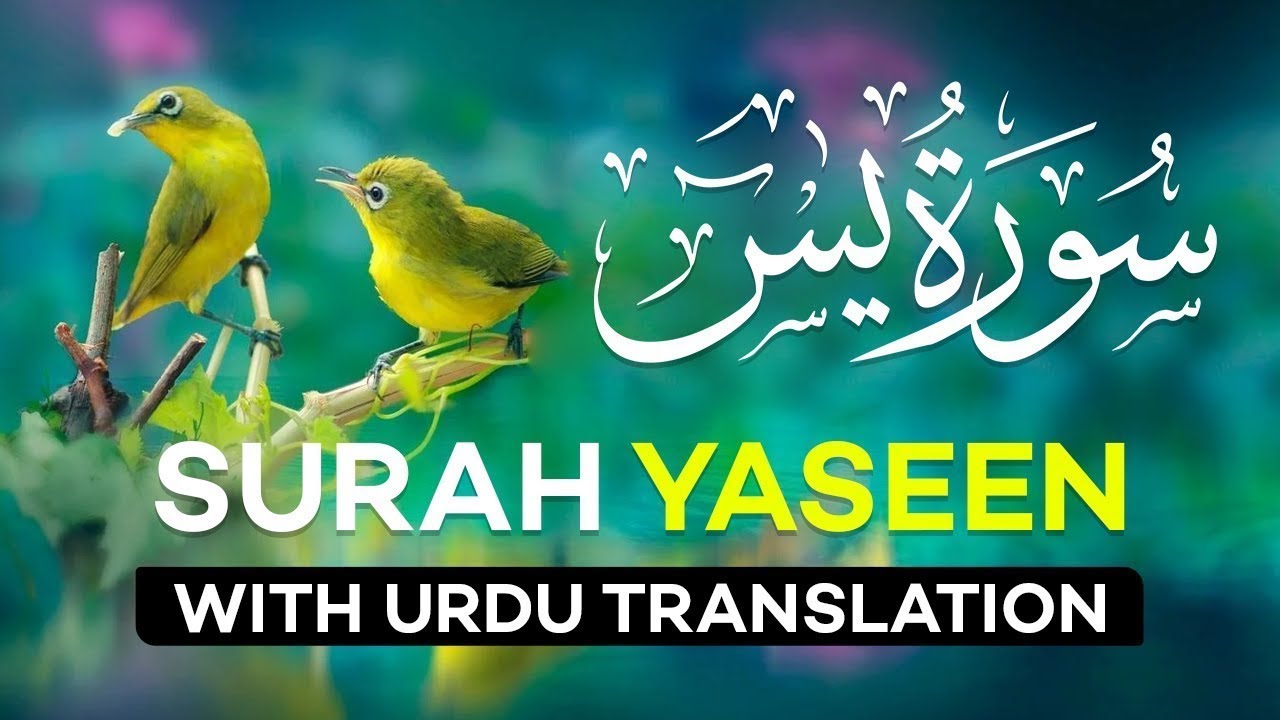 Surah Yasin ( Yaseen ) with Urdu Translation | Quran Tilawat Beautiful Voice | Hindi Tarjuma