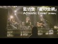 藍坊主「夏の金網」Acoustic Cover