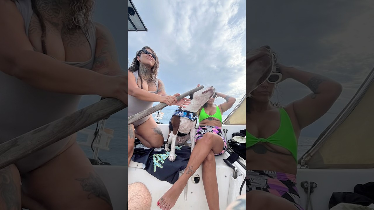 Conoce al perrito Sireno✨ Natural … vive el Caribe.. Bocas del Toro! 