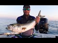 Serra a spinning  bluefish fight extreme live attack popper