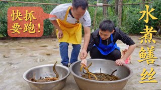 四川农村现收的野生黄鳝做水煮鳝丝四伯爷表示很满意