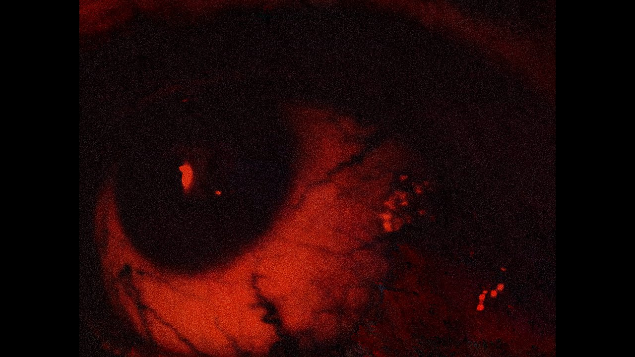 Watch ONLY - "Projections" on YouTube Watch ONLY - "Projections" on YouTube