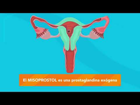 ¿Cómo funciona el