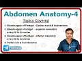 🕵️‍♂️ Anatomy Of Abdomen (Part - 4) : Celiac trunk, Blood supply of GIT, Portal vein🌟💡
