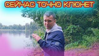 Первый ролик после долгого перерыва) Печки лавочки VLOG