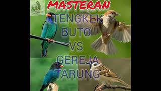 MASTERAN TENGKEK BUTO VS GEREJA TARUNG..full 1jam