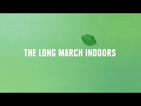 The Path Ahead | REI #OptOutside - The Path Ahead | REI #OptOutside