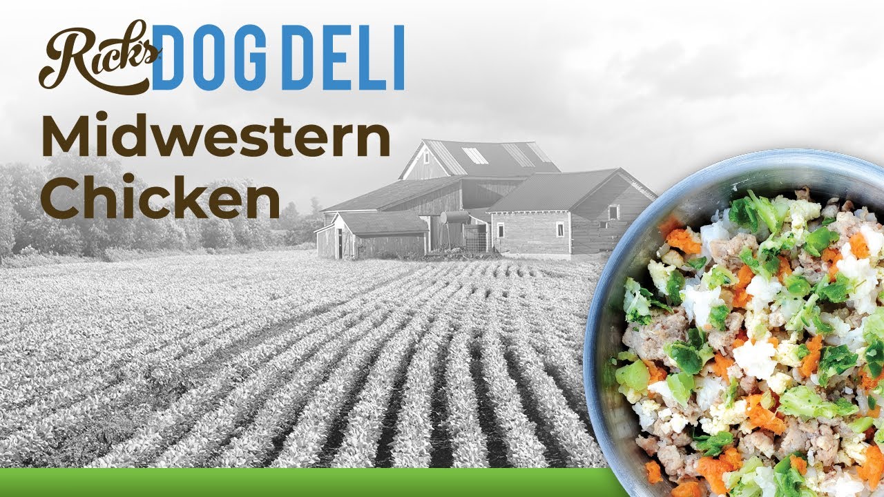 Midwestern Chicken Dog Food - Rick's Dog Deli