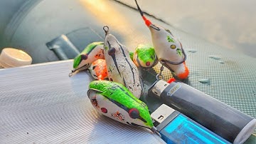 Cách Chọn Mồi Nhái Hơi Câu Lure | VỊT BẦU