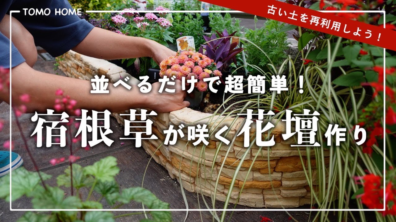【土を再生】レンガブロックでお手軽花壇・宿根草を植える【鉢ごと植えた】