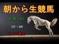 生配信！！【競馬】　Horse Racing Commentary　as huge as a horse’s ！（阪神、中山）