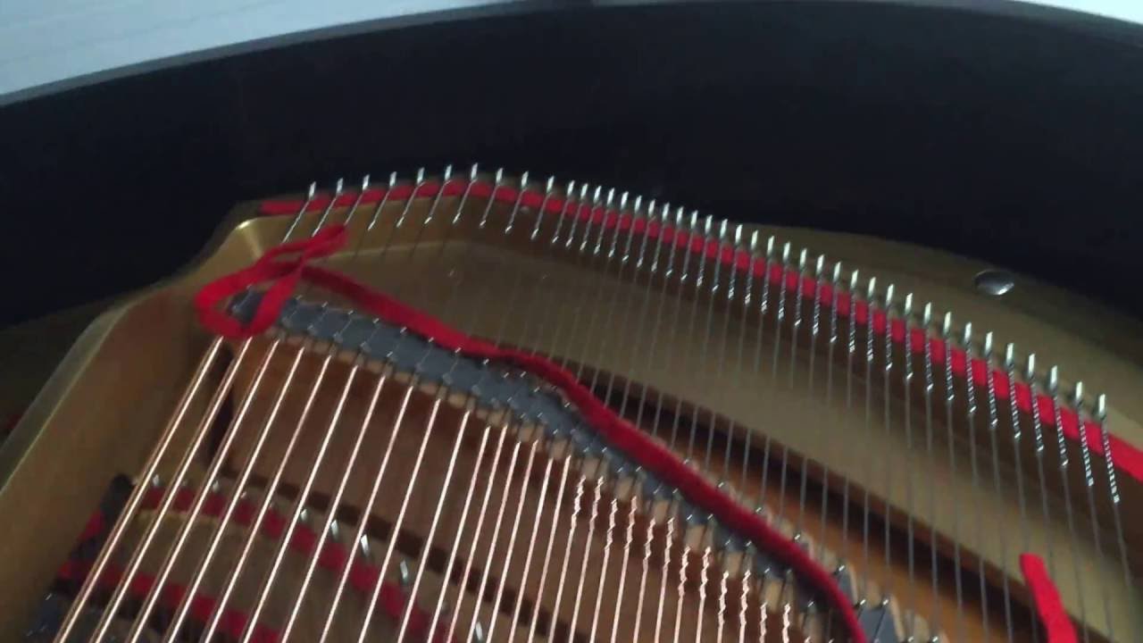 My daughter demonstrating G3 Yamaha grand piano