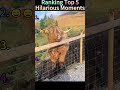 Thank you for the likes and support 🙏🏻🥰 #funny #funnyvideos #comedy #viral #memes #lol#laugh #top