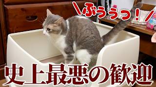 【屁】久しぶりに再会できたスカーから史上最悪の歓迎をされてしまいました。