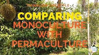 Comparing Monoculture to Permaculture #permaculture