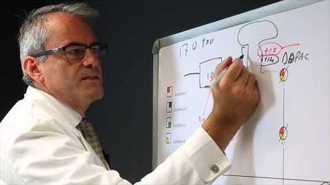 Closing the tau loop: the missing tau mutation