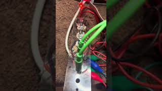 Test Run DIY Modular ADSR Envelope Generator