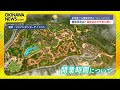 ジャングリアの進捗は？　運営会社の代表に直撃