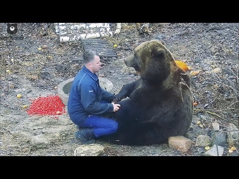 Видео: Какие гостинцы ты принес мне ,Пап?🐻💓