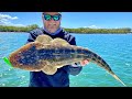 Flathead trolling secrets: All you need to know!