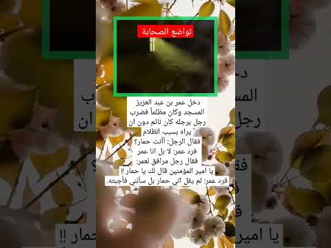 عمر بن عبد العزيز رضي الله عنه