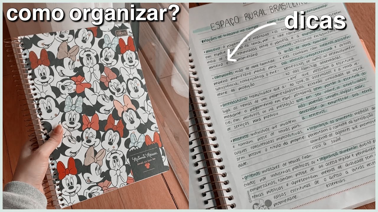 como ter um caderno LINDO e ORGANIZADO