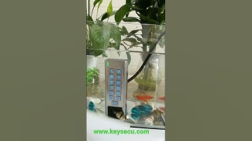 Waterproof access control #accesscontrol #accesscontrolsystem #doorlock #zk #zkteco