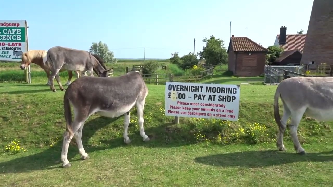 Stracey Arms - July 2021