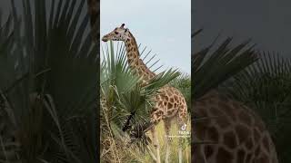Explore Uganda