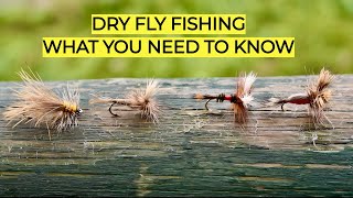 Dry Fly Fishing | What You Need To Know