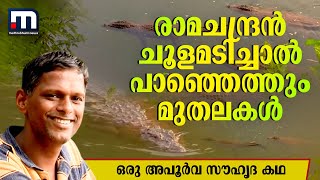 രാമചന്ദ്രൻ ചൂളമടിച്ചാൽ മുതലകൾ കൂട്ടത്തോടെ പാഞ്ഞെത്തും; ഇതൊരു അപൂര്‍വ സൗഹൃദ കഥ | Man Vs Wild