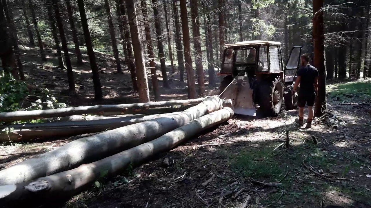 Praca v lese - zetor 6945 priblizovanie buku
