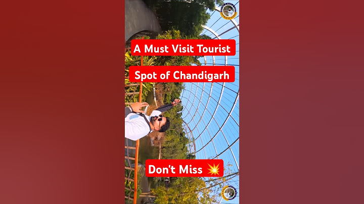 Charche - Dhanda Nyoliwala | Chandigarh | Xvir Grewal | VYRL Haryanvi #shorts #trending #ytshorts