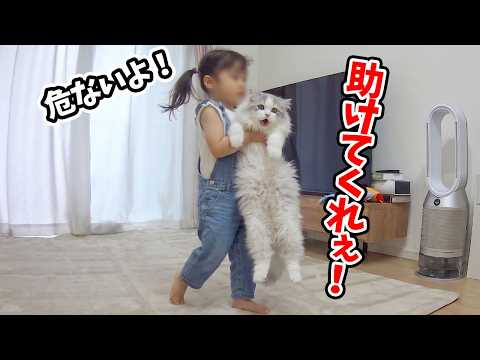 スコスコぽこ太郎ファミリー - YouTube