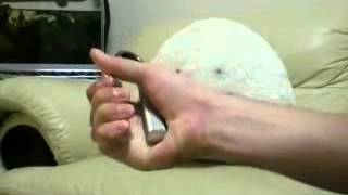 Captains of Crush No.2　COC#2 50Reps