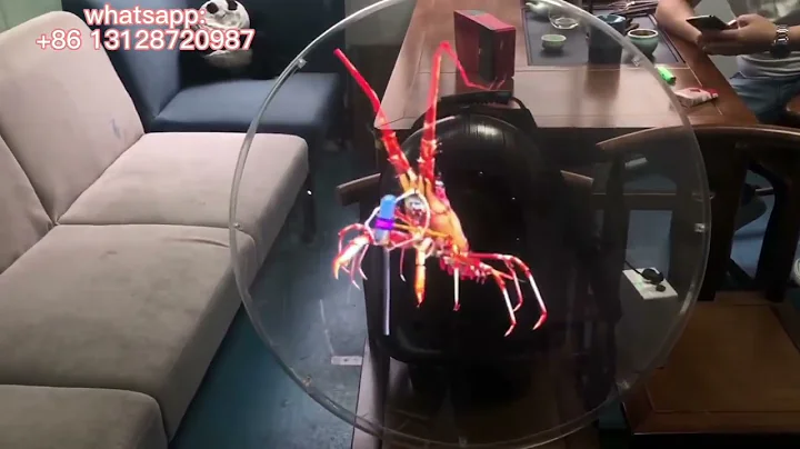 3d hologram backpack