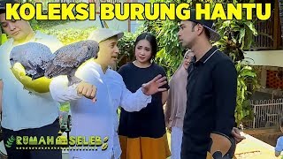 Koleksi Burung Hantu Irfan Hakim Yang Keren Keren - Rumah Seleb 239 Part 2